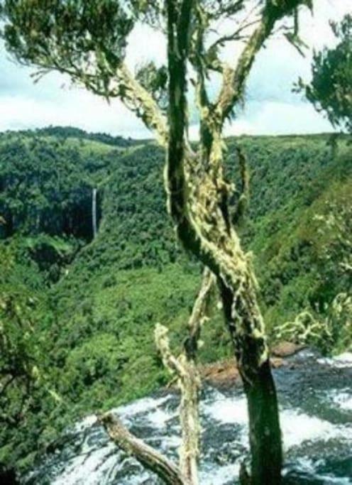 Maverick Camp, Rondavels&Homestay Nyandarua Exteriör bild