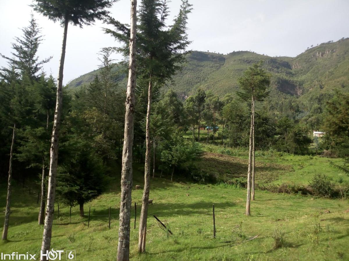 Maverick Camp, Rondavels&Homestay Nyandarua Exteriör bild